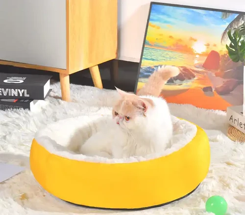 Pat pentru animale de companie pentru câini