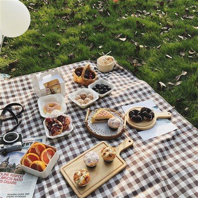 Pătură și saltea de picnic 100% acril