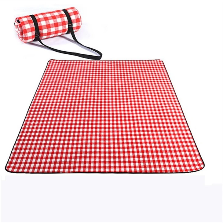 red picnic blanket